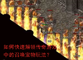��ο��ٽ���������Ϸ�е��ٻ������淨��