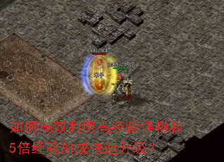 ��θ�Ч���ø߾�������5������ӳɿ���������