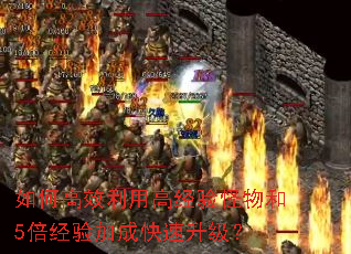 ��θ�Ч���ø߾�������5������ӳɿ���������