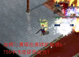 ����û�����Ӣ�۵�����6755�п�������ս����