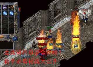 ������Ƭ��ȡȫ���ԣ����ֱؿ��ؼ��󹫿�