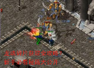 ������Ƭ��ȡȫ���ԣ����ֱؿ��ؼ��󹫿�
