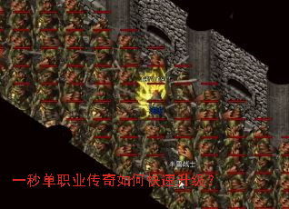 һ�뵥ְҵ������ο���������