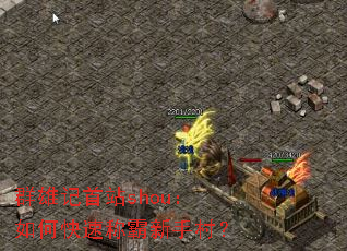 Ⱥ�ۼ���վshou����ο��ٳư����ִ壿