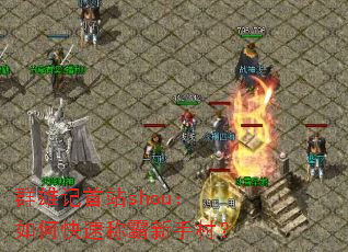 Ⱥ�ۼ���վshou����ο��ٳư����ִ壿