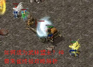��γ�Ϊ����������������ȸ�ռ����Խ���