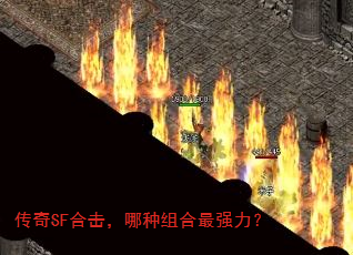 ����SF�ϻ������������ǿ����