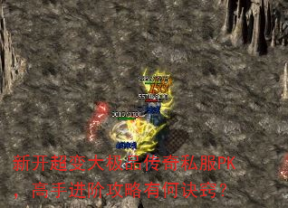 �¿������Ʒ����˽��PK�����ֽ��׹����кξ��ϣ�