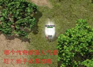 哪个传奇新服人气最旺?新手必看攻略 哪个传奇新服人气最旺?新手必看攻略