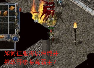 如何征服寄居海域并挑战野嚎苍穹霸主? 如何征服寄居海域并挑战野嚎苍穹霸主?