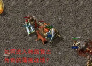 ��ν��뺫�渴�Ŵ������ħս����