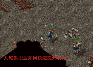 九尾狐职业如何快速提升战力? 九尾狐职业如何快速提升战力?