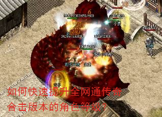 如何快速提升全网通传奇合击版本的角色等级? 如何快速提升全网通传奇合击版本的角色等级?