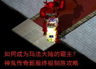 如何成为玛法大陆的霸主?神鬼传奇新服终极制胜攻略 如何成为玛法大陆的霸主?神鬼传奇新服终极制胜攻略