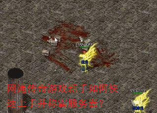 网通传奇游戏新手如何快速上手并称霸服务器? 网通传奇游戏新手如何快速上手并称霸服务器?