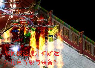 如何快速提升神雕迷失角色等级与装备? 如何快速提升神雕迷失角色等级与装备?