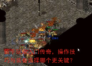 ����������Ŵ��棬����������װ��ѡ���ĸ����ؼ���