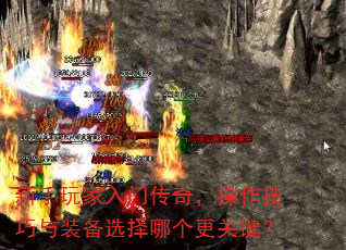 ����������Ŵ��棬����������װ��ѡ���ĸ����ؼ���