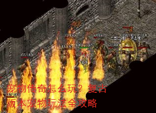 宠物传奇怎么玩?复古版本宠物玩法全攻略 宠物传奇怎么玩?复古版本宠物玩法全攻略