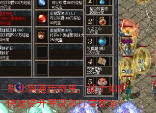 东北网通传奇里,战士如何快速提升等级和打宝效率? 东北网通传奇里,战士如何快速提升等级和打宝效率?