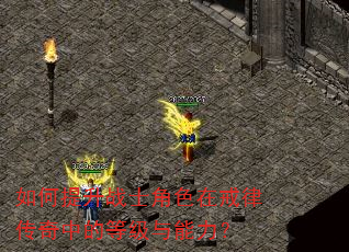 如何提升战士角色在戒律传奇中的等级与能力? 如何提升战士角色在戒律传奇中的等级与能力?