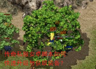 传奇私服安卓脚本如何快速升级与获取装备? 传奇私服安卓脚本如何快速升级与获取装备?