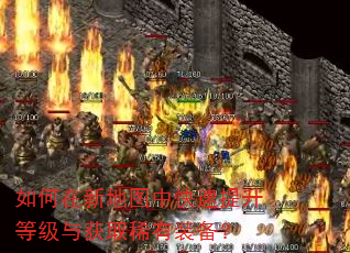 如何在新地图中快速提升等级与获取稀有装备? 如何在新地图中快速提升等级与获取稀有装备?