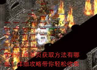 ���������ҳ��ȡ��������Щ����ϸ���Դ��������ռ�