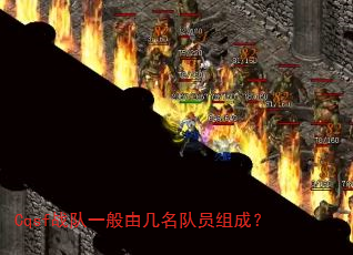 Cqsf战队一般由几名队员组成? Cqsf战队一般由几名队员组成?