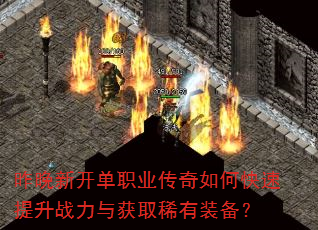 �����¿���ְҵ������ο�������ս�����ȡϡ��װ����