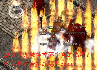 ��򼶴�������������ĸ������ָ��ʺ���ս��Щboss��