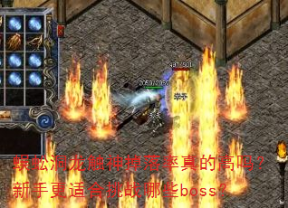 ��򼶴�������������ĸ������ָ��ʺ���ս��Щboss��