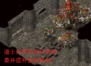 道士如何高效召唤神兽并提升技能等级? 道士如何高效召唤神兽并提升技能等级?