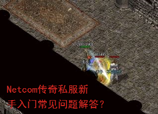 Netcom传奇私服新手入门常见问题解答? Netcom传奇私服新手入门常见问题解答?
