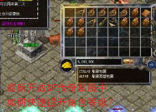 最新开放SF传奇私服中如何快速提升角色等级? 最新开放SF传奇私服中如何快速提升角色等级?