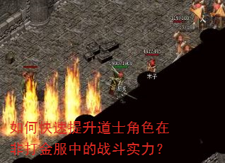 如何快速提升道士角色在非打金服中的战斗实力? 如何快速提升道士角色在非打金服中的战斗实力?