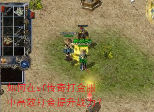 如何在sf传奇打金服中高效打金提升战力? 如何在sf传奇打金服中高效打金提升战力?