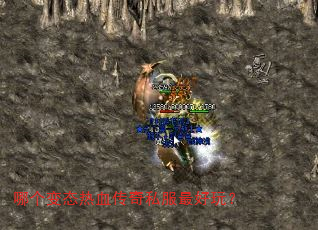 �ĸ���̬��Ѫ����˽������棿