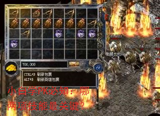 小白学PK必知:哪两项技能最关键? 小白学PK必知:哪两项技能最关键?