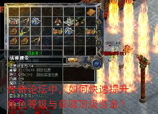 传奇论坛中,如何快速提升角色等级与获取顶级装备? 传奇论坛中,如何快速提升角色等级与获取顶级装备?