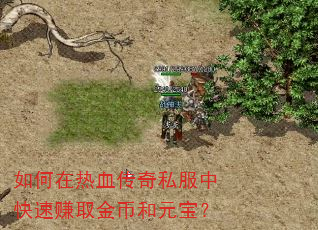 如何在热血传奇私服中快速赚取金币和元宝? 如何在热血传奇私服中快速赚取金币和元宝?