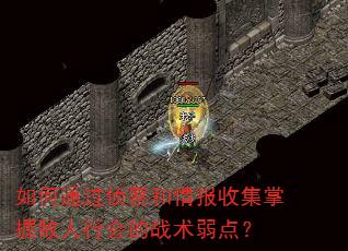 如何通过侦察和情报收集掌握敌人行会的战术弱点? 如何通过侦察和情报收集掌握敌人行会的战术弱点?