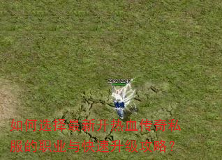 如何选择最新开热血传奇私服的职业与快速升级攻略? 如何选择最新开热血传奇私服的职业与快速升级攻略?
