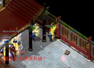 战士如何快速升级? 战士如何快速升级?