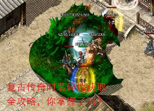 ���Ŵ���ʱװ��Ƭ��ȡȫ���ԣ�����������