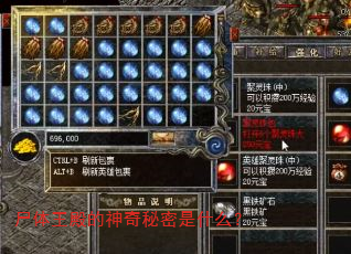 尸体王殿的神奇秘密是什么? 尸体王殿的神奇秘密是什么?