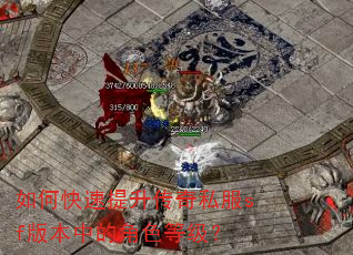 如何快速提升传奇私服sf版本中的角色等级? 如何快速提升传奇私服sf版本中的角色等级?