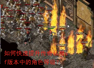 如何快速提升传奇私服sf版本中的角色等级? 如何快速提升传奇私服sf版本中的角色等级?