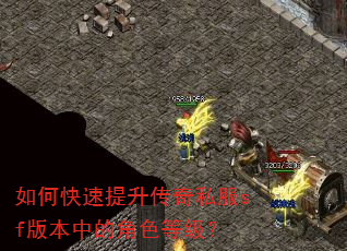 如何快速提升传奇私服sf版本中的角色等级? 如何快速提升传奇私服sf版本中的角色等级?