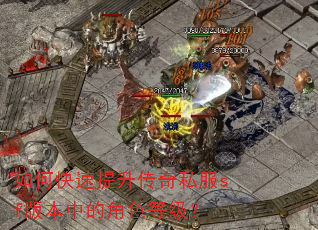 如何快速提升传奇私服sf版本中的角色等级? 如何快速提升传奇私服sf版本中的角色等级?